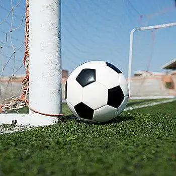 球探比分app免费下载